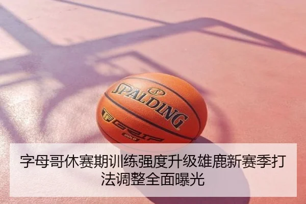 字母哥休赛期训练强度升级雄鹿新赛季打法调整全面曝光
